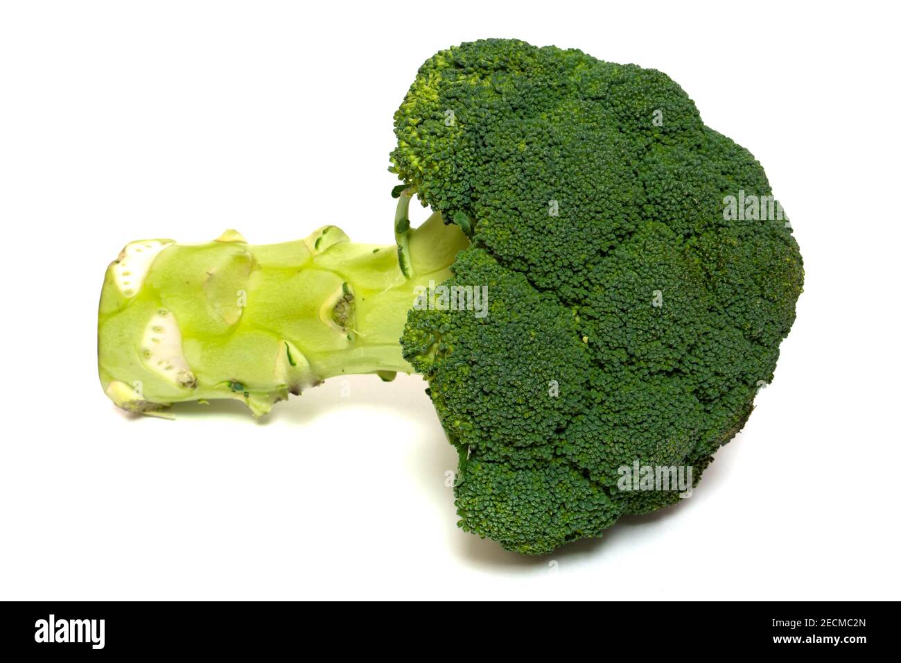 Brocoli isolé sur fond blanc. Style de vie sain. Elément de conception pour collage Banque D'Images