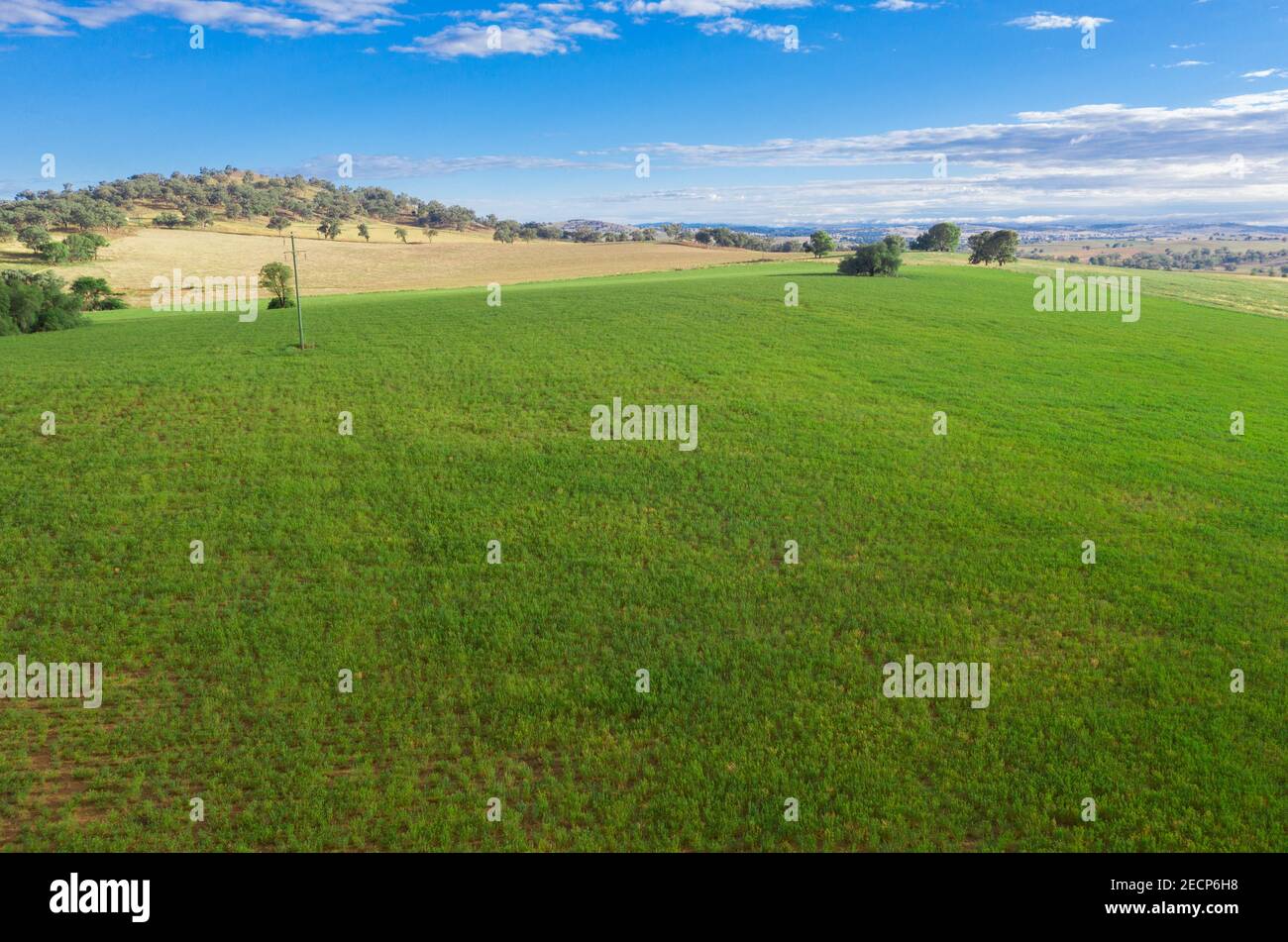 Terres agricoles typiques entre Cowra et Canowindra dans le centre-ouest De Nouvelle-Galles du Sud Australie Banque D'Images