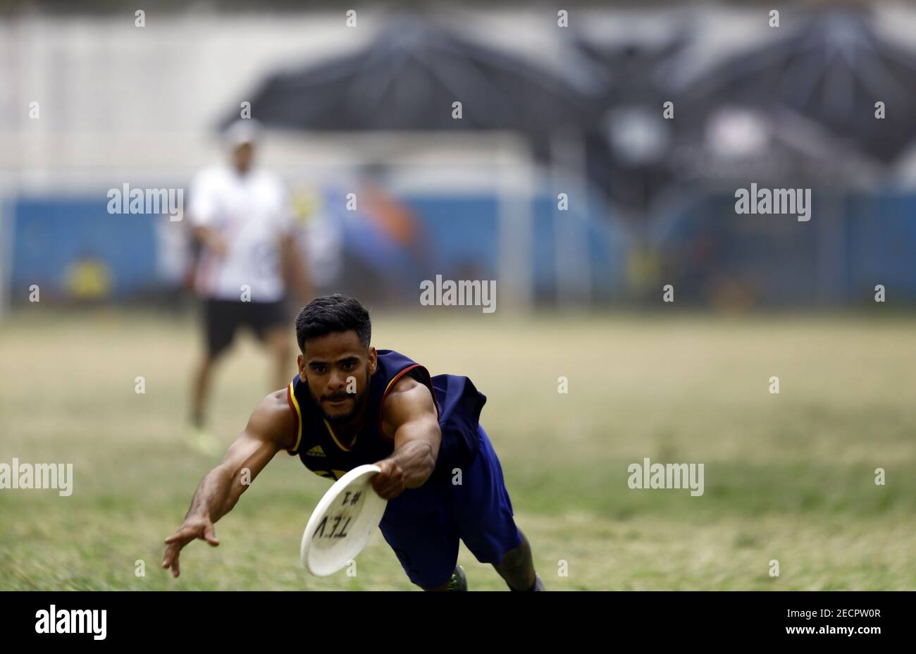 Valence, Carabobo, Venezuela. 13 février 2021. 13 février 2021. Ultimate ou Frisbee est un sport d'équipe sans contact, auto-arbitre joué avec un disque volant (ou Frisbee Âª). Il réunit des éléments de football, de basket-ball et de rugby, remplaçant le ballon par un disque volant et l'arbitre par l'esprit sportif de chaque joueur. C'est le plus populaire de tous les sports joués avec un Frisbee. Il se joue entre deux équipes de sept joueurs sur un terrain de jeu à peu près de la même longueur qu'un terrain de football, mais plus étroit (100 x 37 m)9. À chaque extrémité du terrain de jeu se trouve un stagi de 18 x 37 M. Banque D'Images