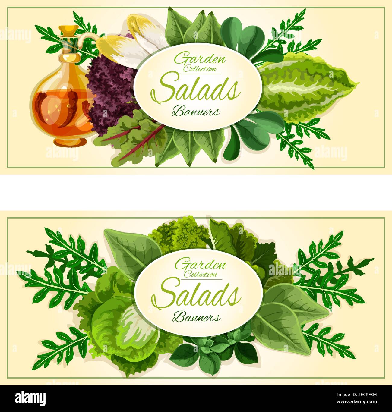 Banderoles de légumes et de légumes à salade avec feuilles de laitue, chou, épinards, roquette, cresson, iceberg, endive, verger, kale avec moi Illustration de Vecteur