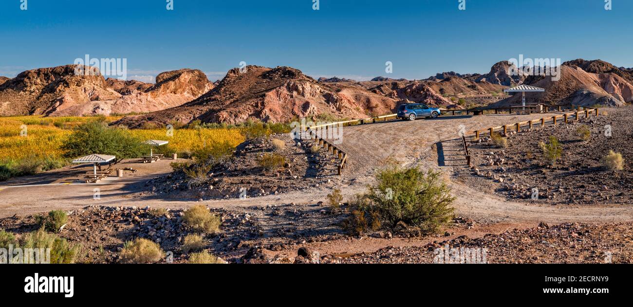 Campings, point de vue, zones humides, au terrain de camping du lac Taylor, sur le fleuve Colorado, aire de loisirs de l'État de Picacho, désert de Sonoran, près de Yuma, Californie, États-Unis Banque D'Images