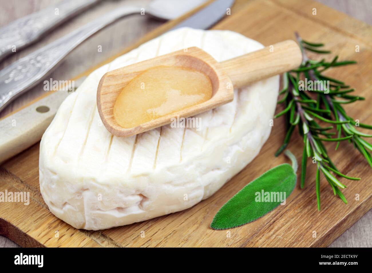 Fromage et sauce aux herbes fraîches Banque D'Images