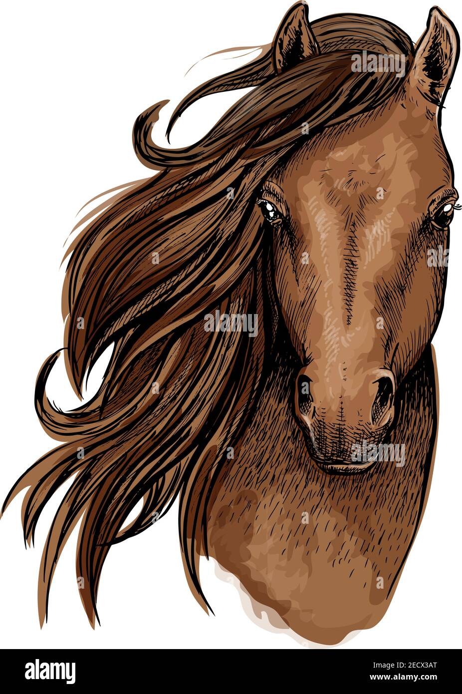 Portrait artistique de cheval brun. Belle mustang avec de longues manes agitant de côté et regardant droit vers l'avant Illustration de Vecteur