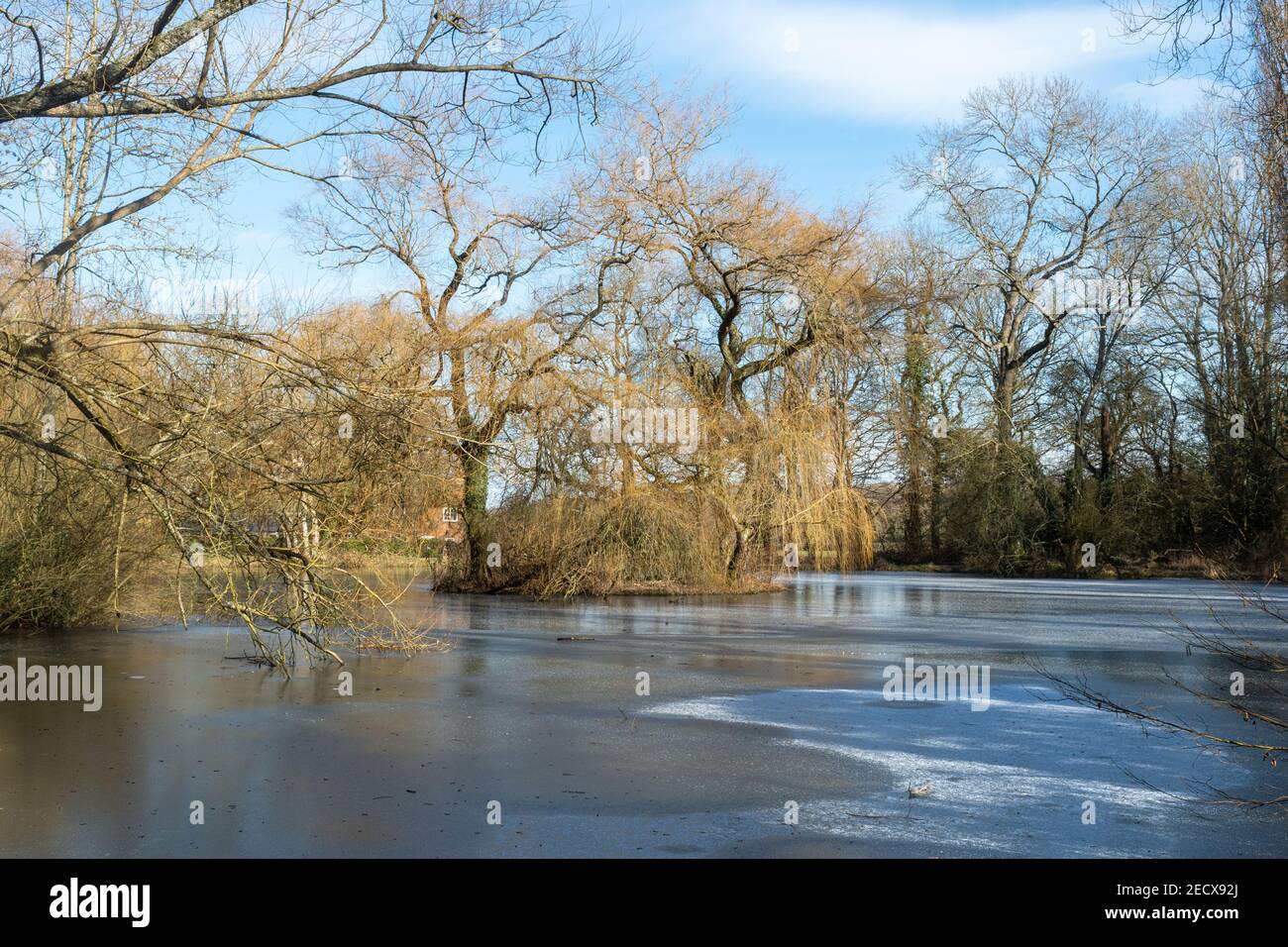 Étang de pêche gelé appelé Wilks Water près du canal de Basingstoke à Odiham, Hampshire, Royaume-Uni, pendant l'hiver ou février Banque D'Images