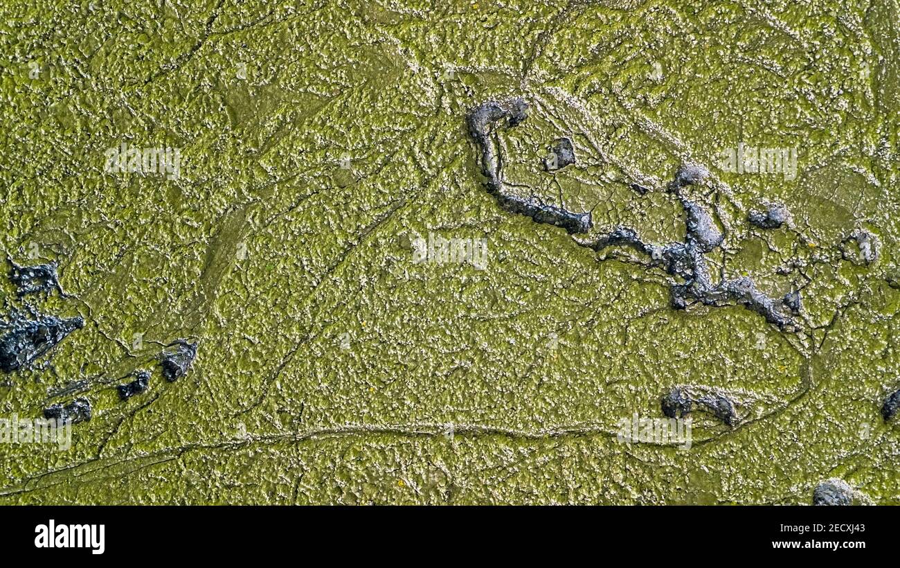 Vue aérienne d'un champ de lave avec de la mousse en Islande Banque D'Images