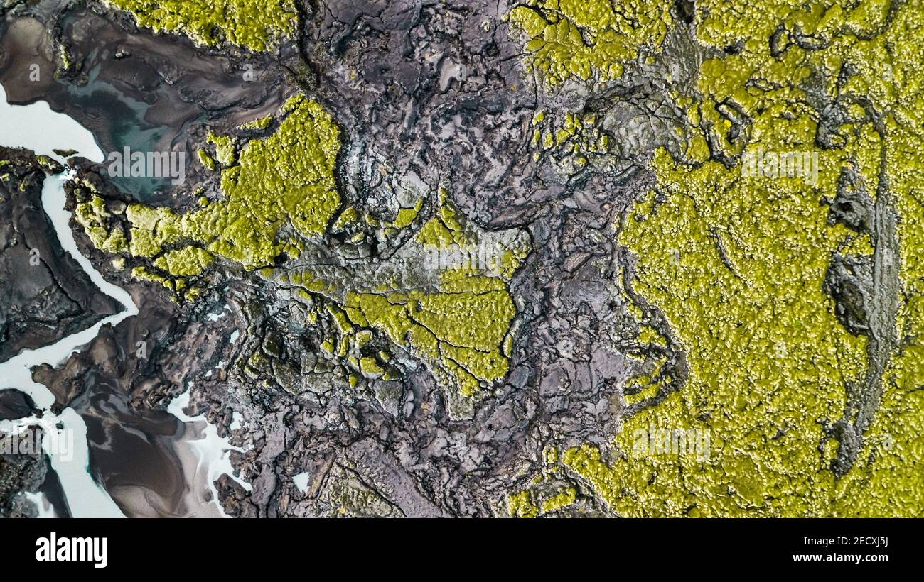Vue aérienne d'un champ de lave avec de la mousse en Islande Banque D'Images
