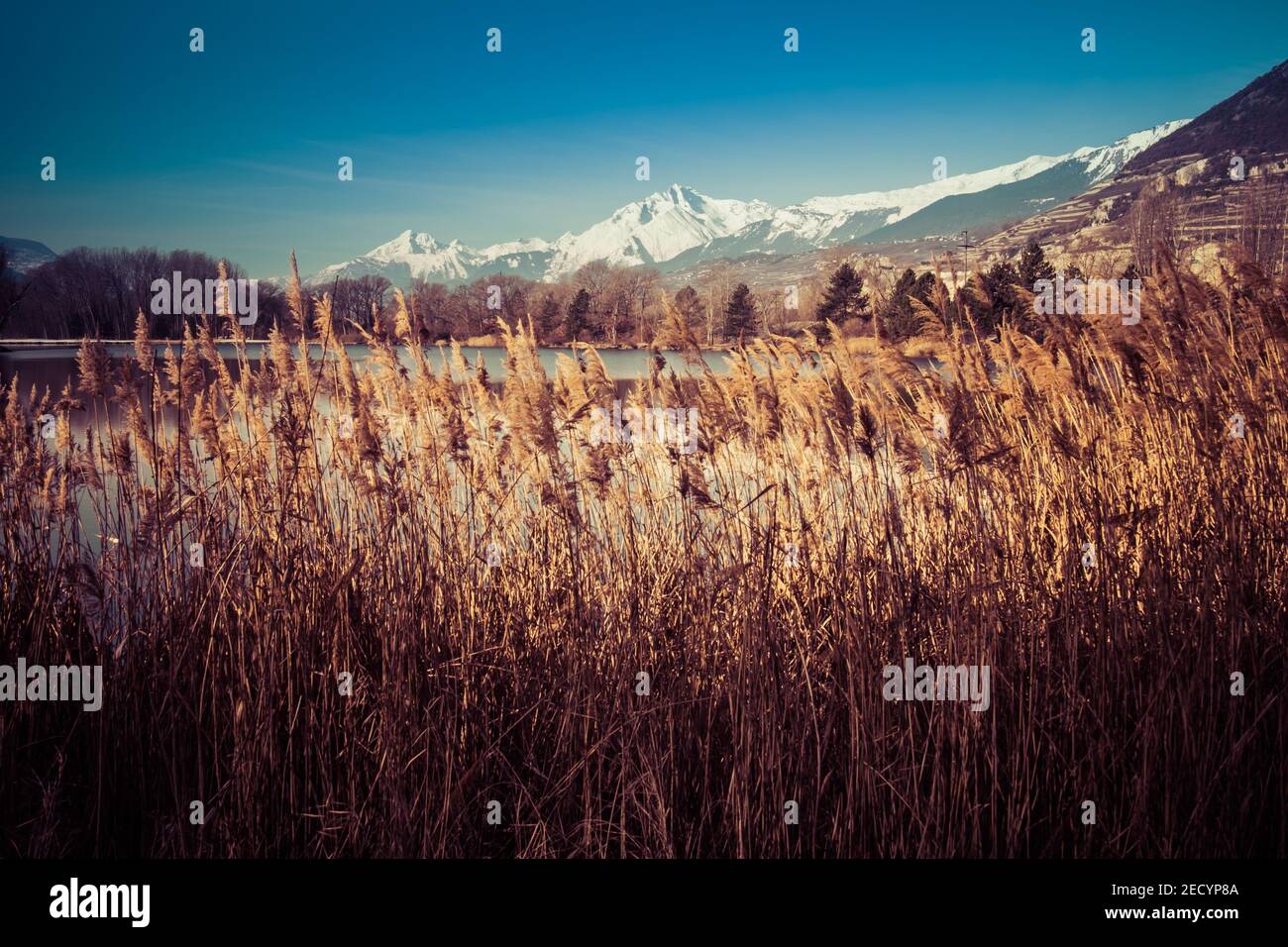 Un petit lac près du club de golf de Cran-Montana, avec les montagnes reflétées dans l'eau, Sierre, Suisse Banque D'Images