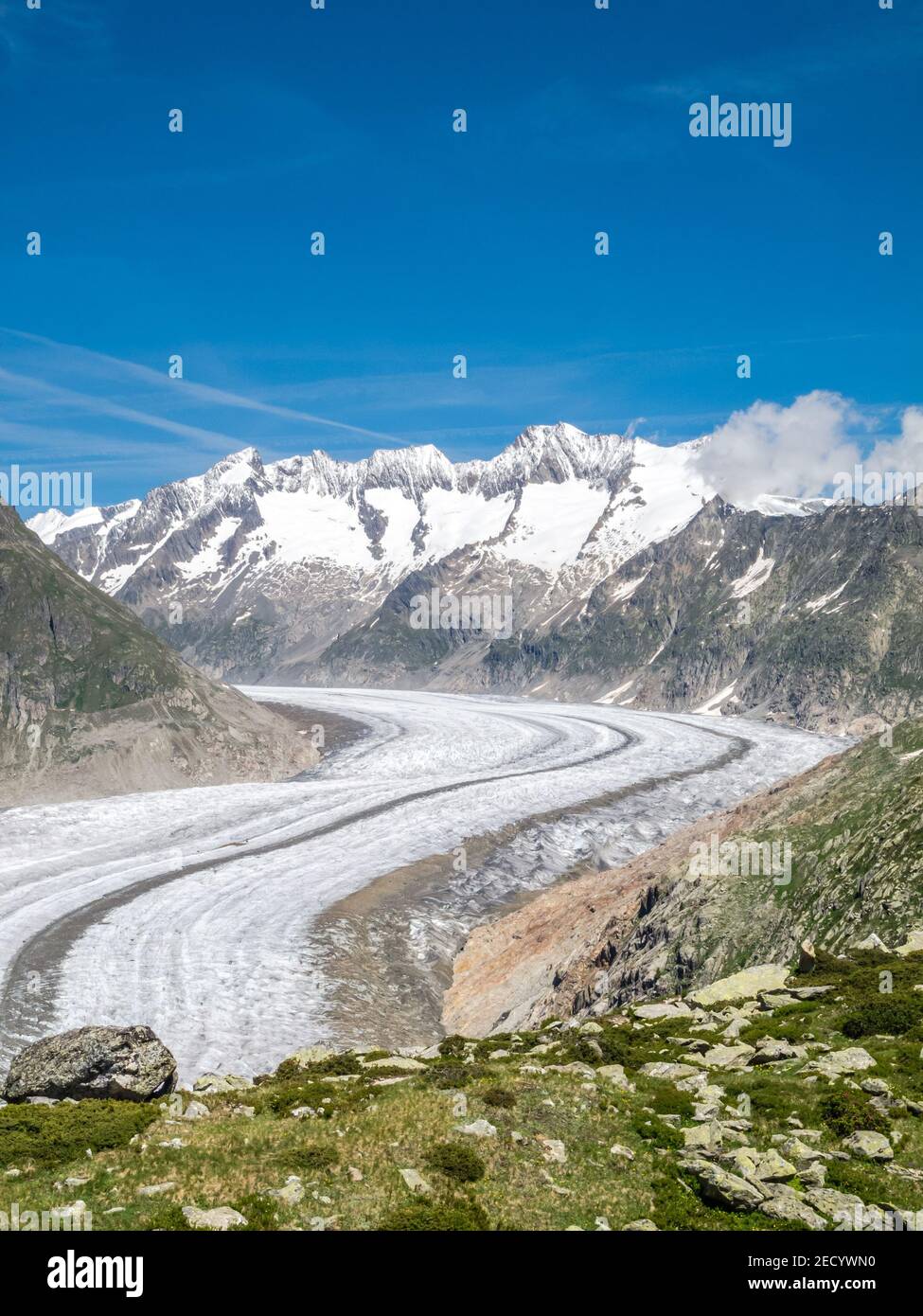 Vue sur le Grand glacier d'Aletsch, Aletschgletscher, dans les Alpes bernoises, canton du Valais, Alpes suisses, Suisse, Europe Banque D'Images