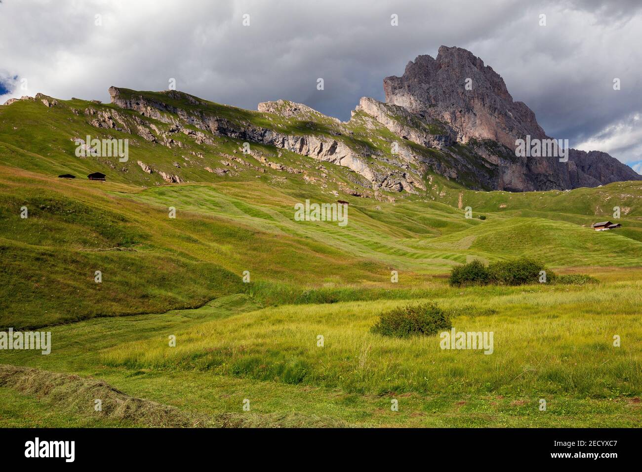 Prés alpins de la montagne Seceda. Pics Odle. Les Dolomites de la vallée de Gardena. Alpes italiennes. Europe. Banque D'Images