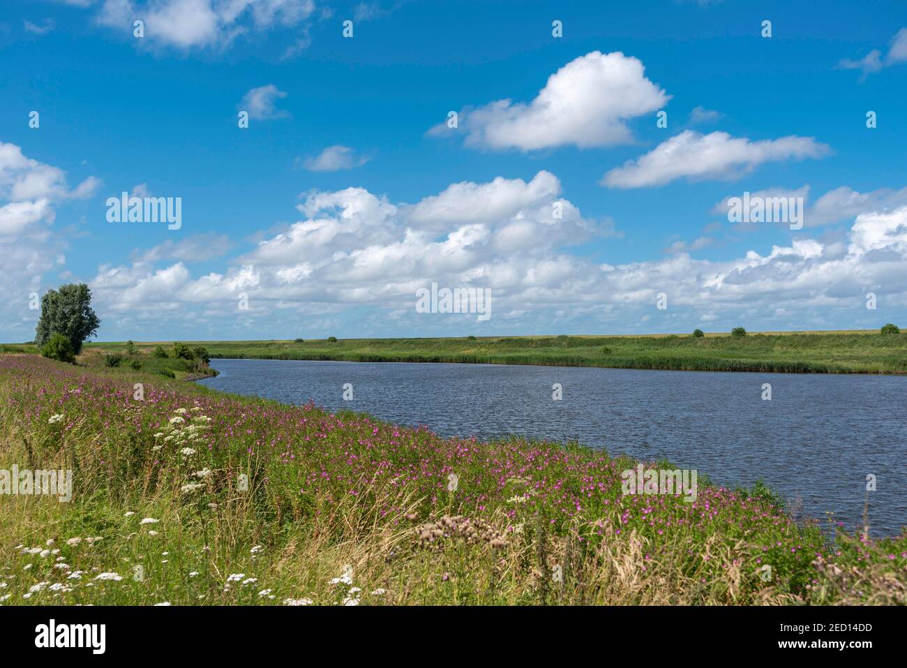 Paysage au Leyhoerner-Sieltief, Greetsiel, Basse-Saxe, Allemagne Banque D'Images