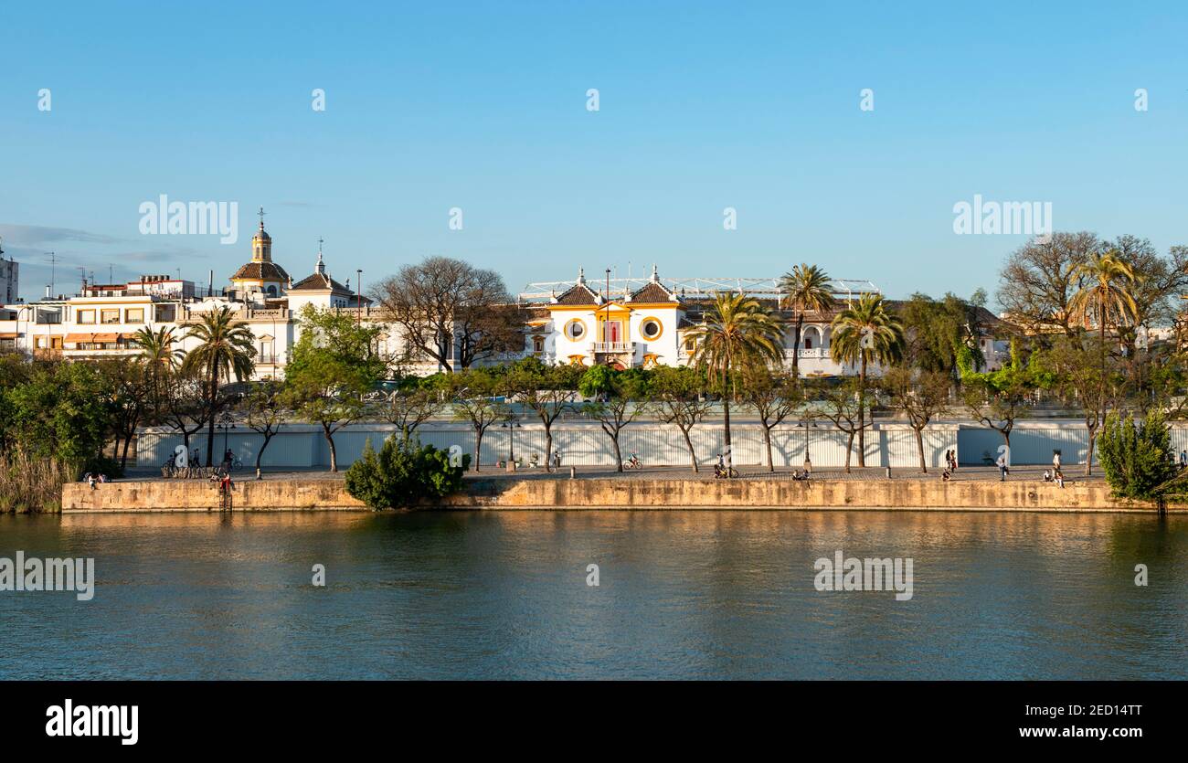 Vue sur la rivière Rio Guadalquivir jusqu'à la Plaza de toros de la Real Maestranza de Caballeria de Sevilla, Sevilla, Andalousie, Espagne Banque D'Images