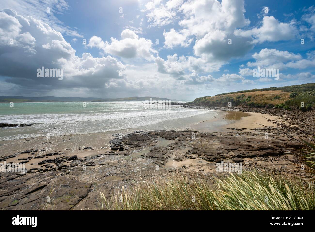 Vue sur la plage de sable et la mer à Curio Bay, ciel nuageux, Curio Bay, Southland, South Island, Nouvelle-Zélande Banque D'Images
