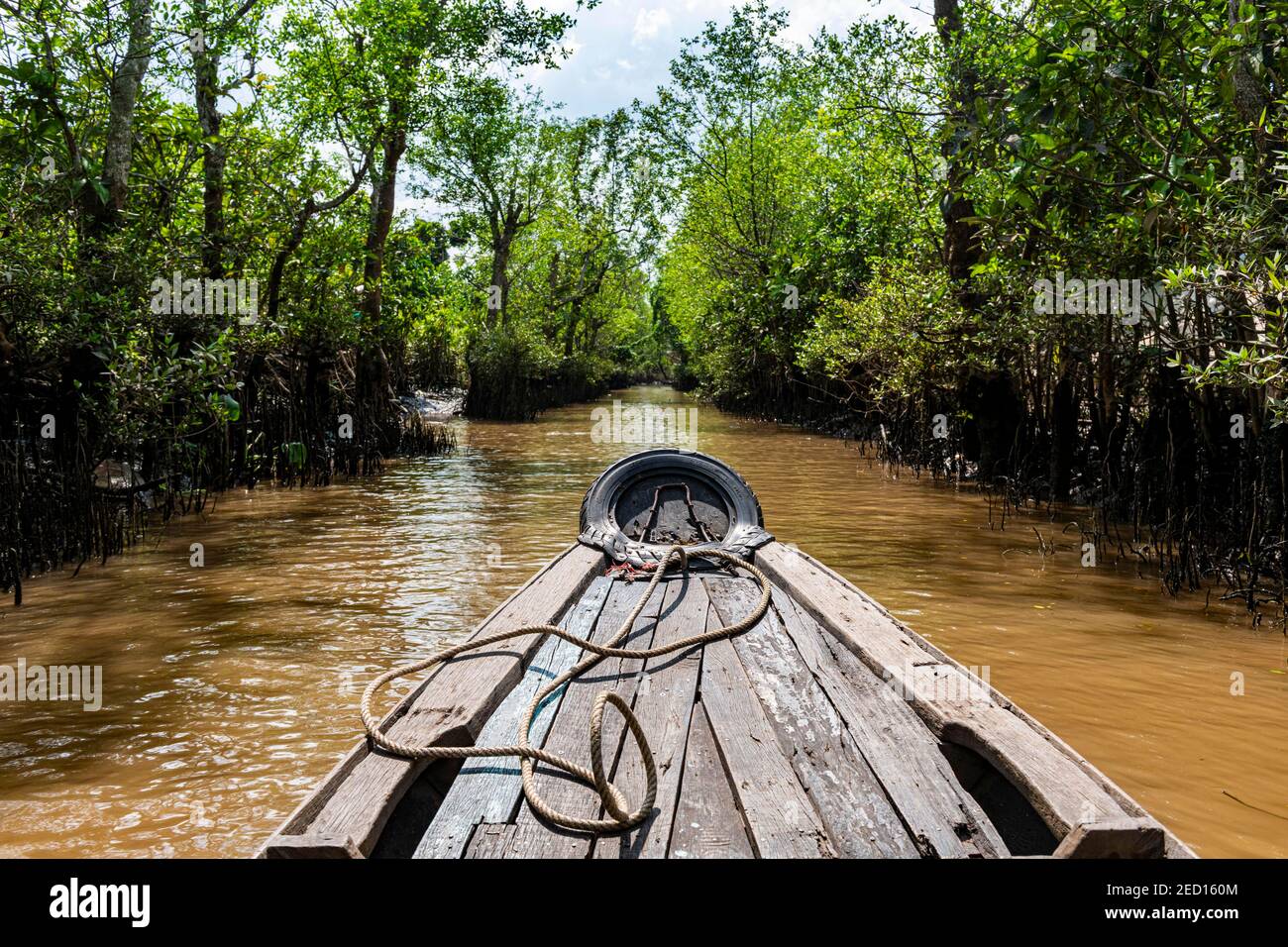 Aviron à travers un petit canal d'eau, Cai be, Delta du Mékong, Vietnam Banque D'Images