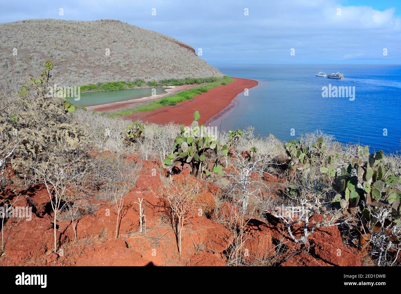 Ancrage de yachts à la plage rouge, île de Rabida, Galapagos, Equateur Banque D'Images