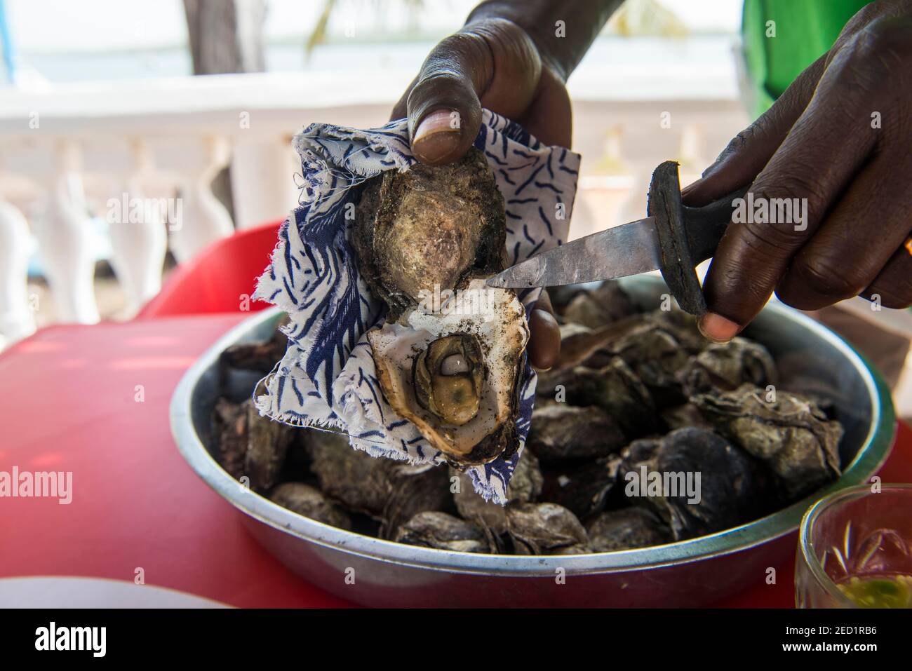 Grande assiette d'huîtres, Quinhamel, Bissau, Guinée-Bissau Banque D'Images
