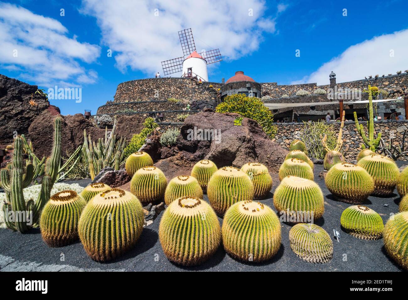 Jardin de Cactus, jardin de cactus Cesar Manrique, Lanzarote, îles Canaries Banque D'Images