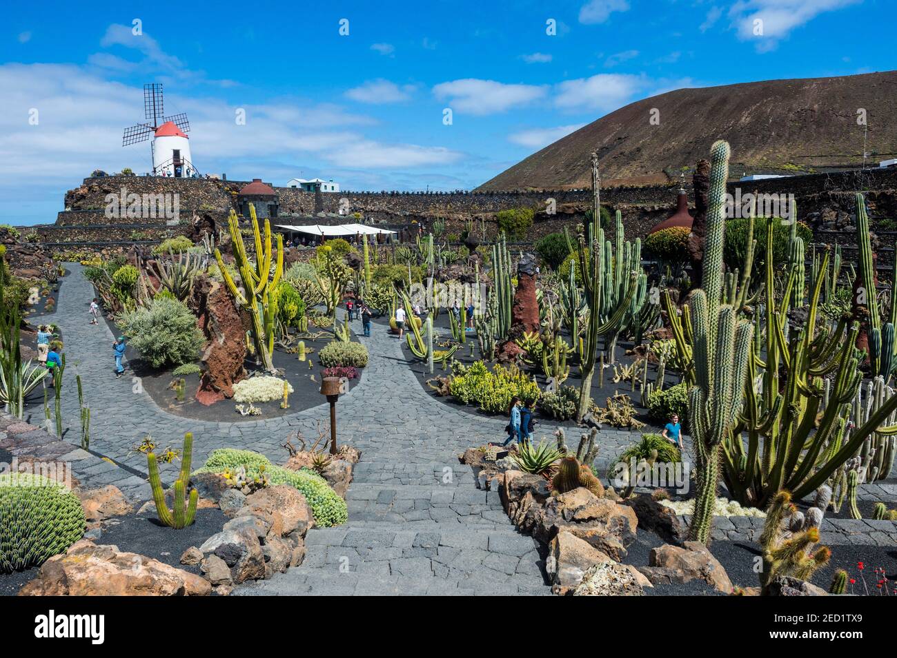 Jardin de Cactus, jardin de cactus Cesar Manrique, Lanzarote, îles Canaries Banque D'Images