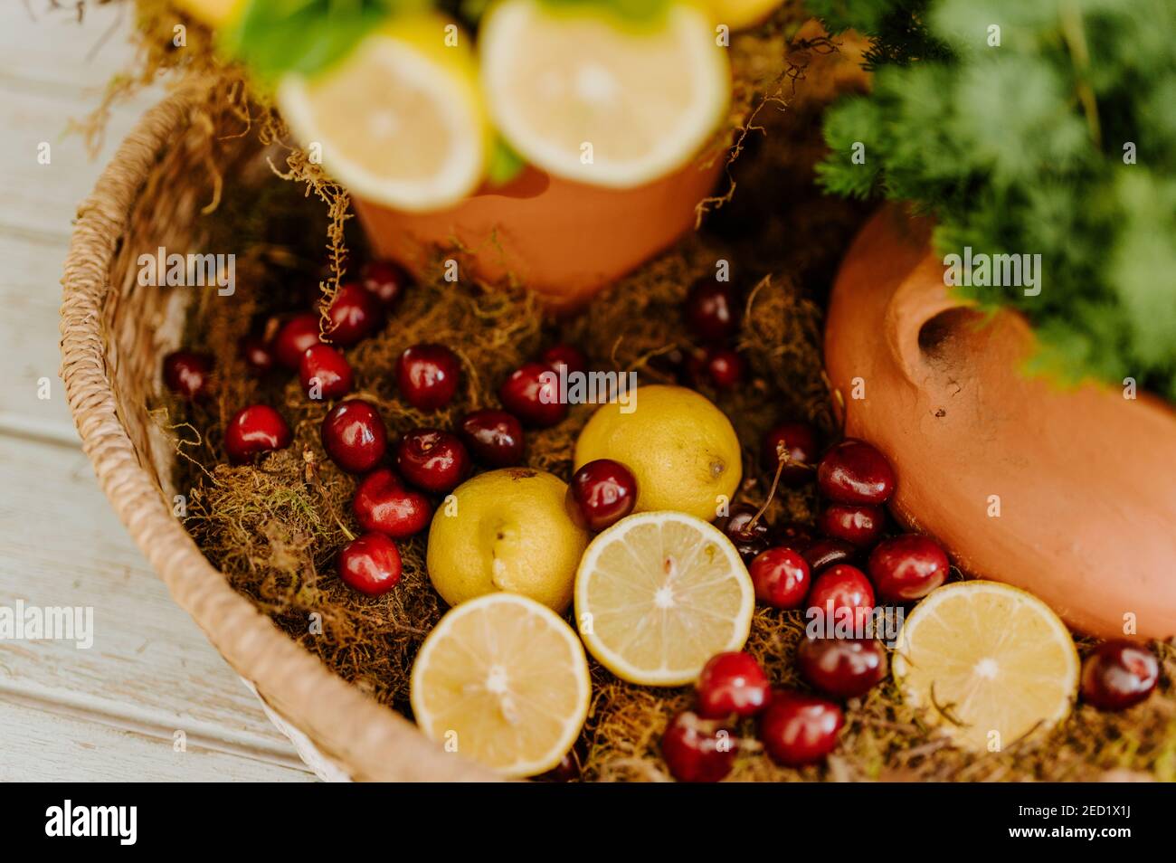 Panier en osier, décoré de citrons frais et de cerises à côté de deux cyprès dans un pot à fleurs, placé sur une table en bois Banque D'Images