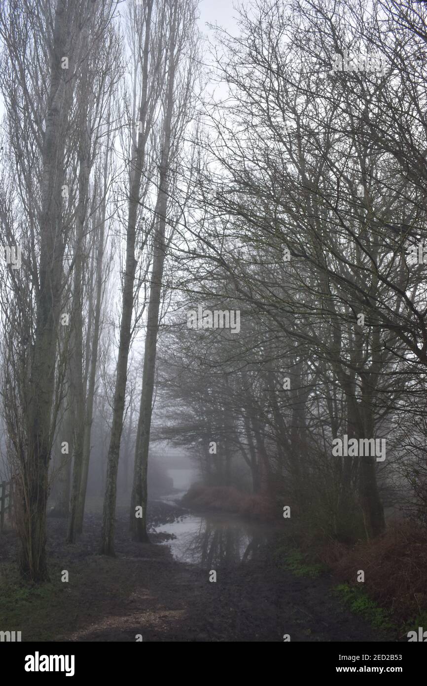 Une journée de brouillard dans le parc de Tattenhoe Valley à Milton Keynes. Banque D'Images