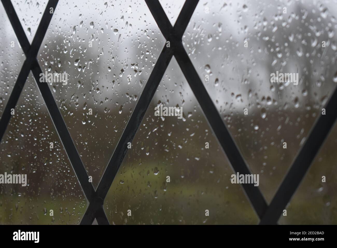 Gouttes de pluie sur un panneau de fenêtre au plomb. Banque D'Images
