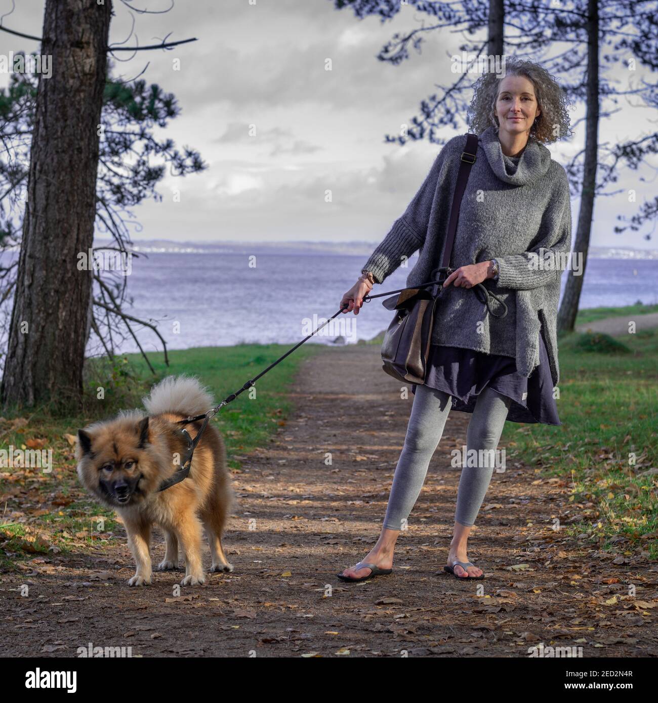 femme et chien en désaccord sur la direction Banque D'Images