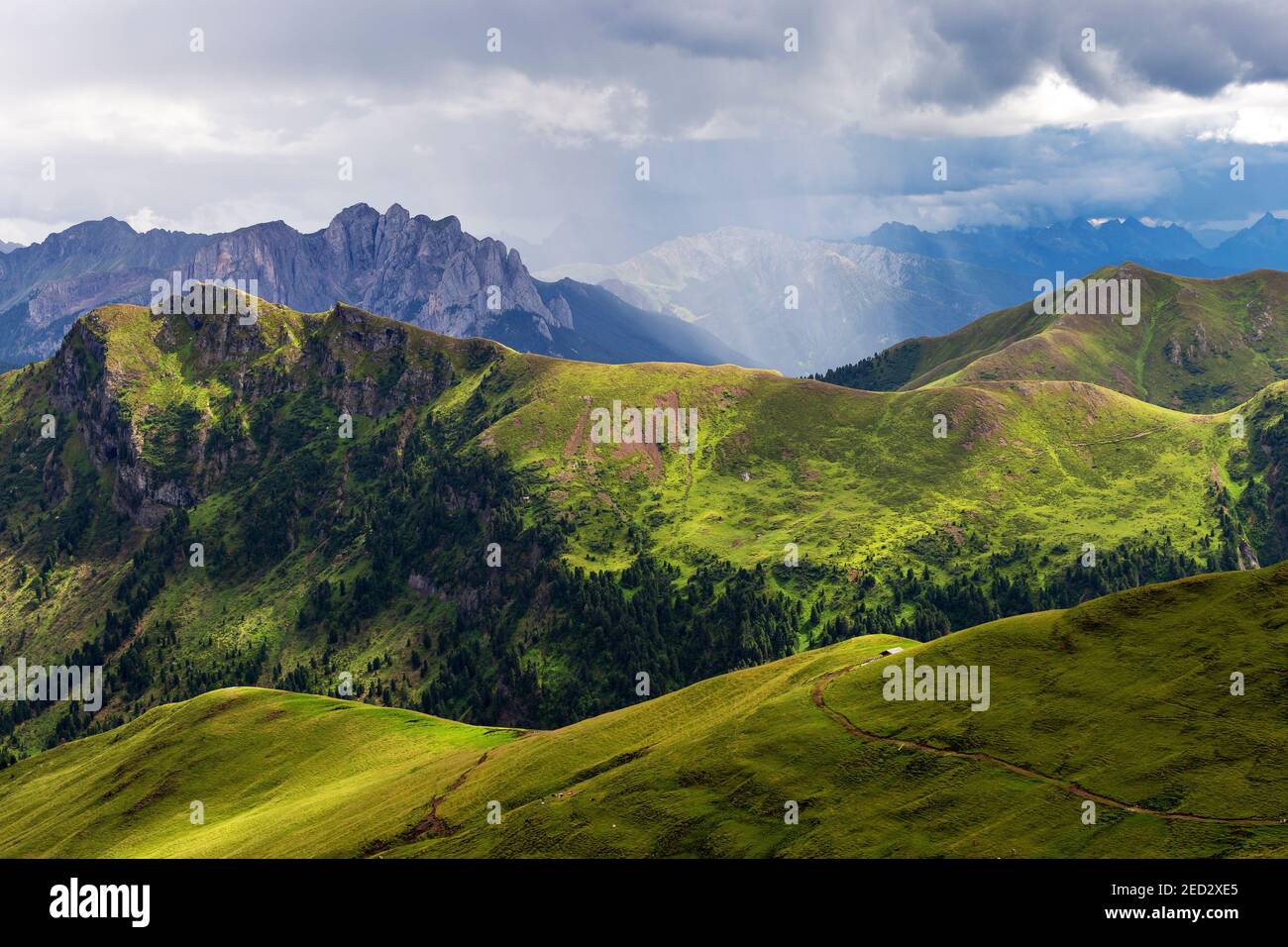 Prairies alpines, profils de vallées. Val di Fassa. Trentin. Alpes italiennes. Europe. Banque D'Images