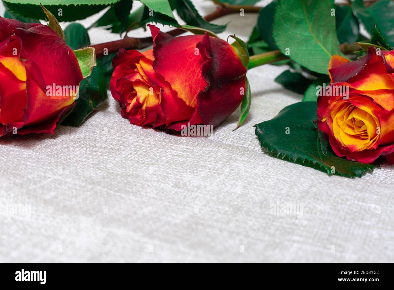 Arrière-plans roses rouges romantiques, fête des mères, invitation à un ...