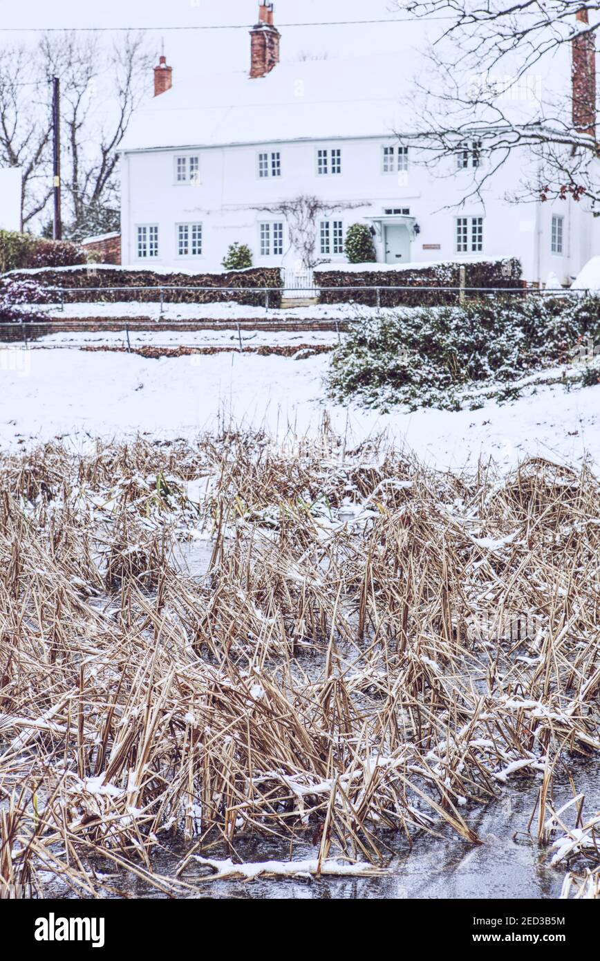 Hêtres Hill hiver Banque D'Images