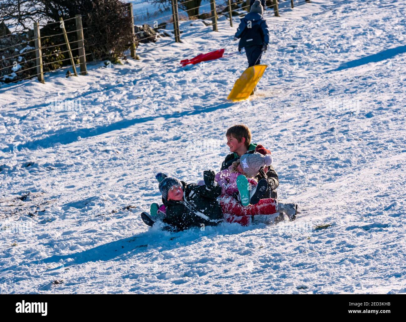 Quatre enfants s'amusent à glisser sur une pente en traîneau dans la neige et le soleil d'hiver, East Lothian, Écosse, Royaume-Uni Banque D'Images