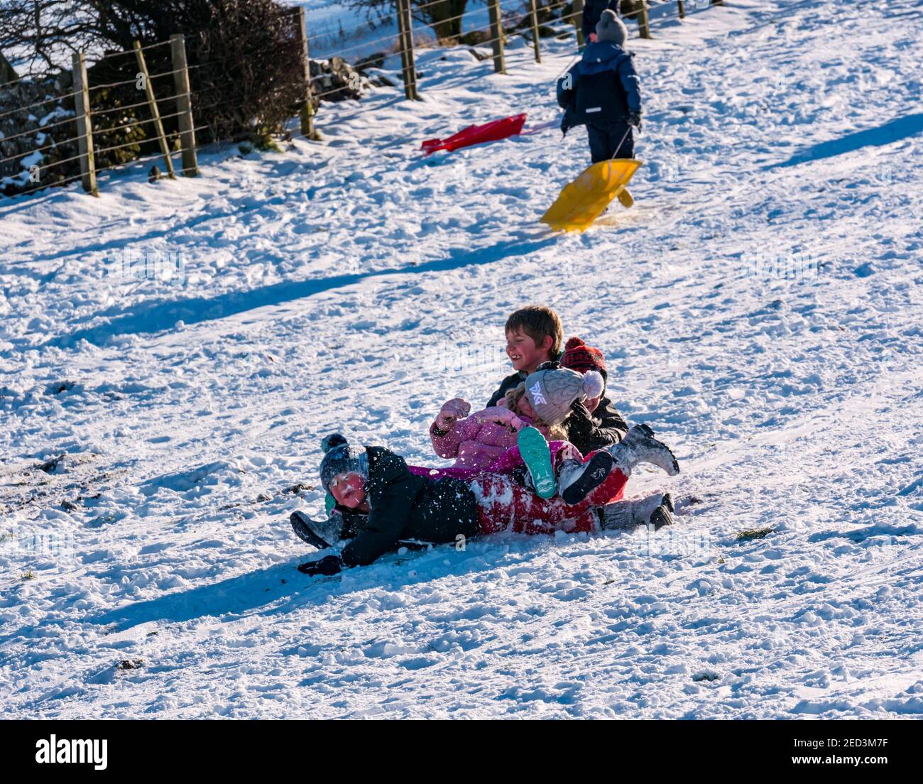Quatre enfants s'amusent à glisser sur une pente en traîneau dans la neige et le soleil d'hiver, East Lothian, Écosse, Royaume-Uni Banque D'Images