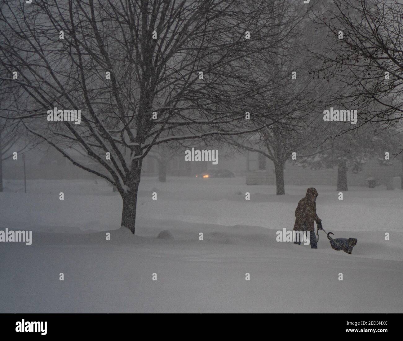 homme marchant son chien pendant la tempête de neige de l'après-midi sombre Banque D'Images