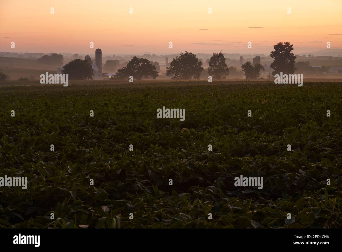 Grange et champs de ferme au crépuscule près de Churchtown, comté de Lancaster, Pennsylvanie, États-Unis Banque D'Images