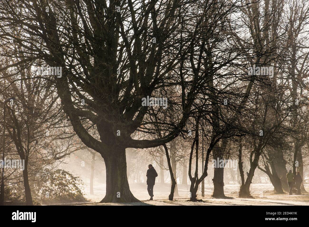 Un homme marche seul lors d'une journée glacial un A. Parc de Londres Banque D'Images