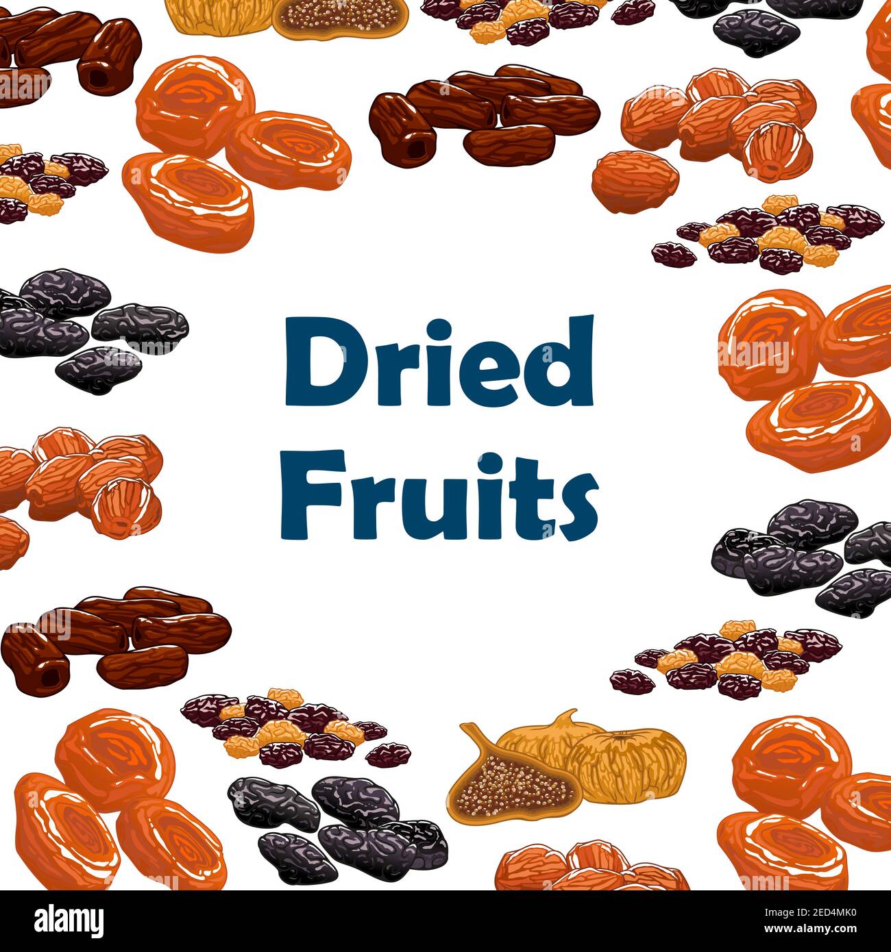 Fruits secs. Affiche vectorielle avec raisins secs nutritifs crus, dattes, figues, abricots, prunes, pruneaux. Sucreries végétariennes et en-cas de desserts Illustration de Vecteur