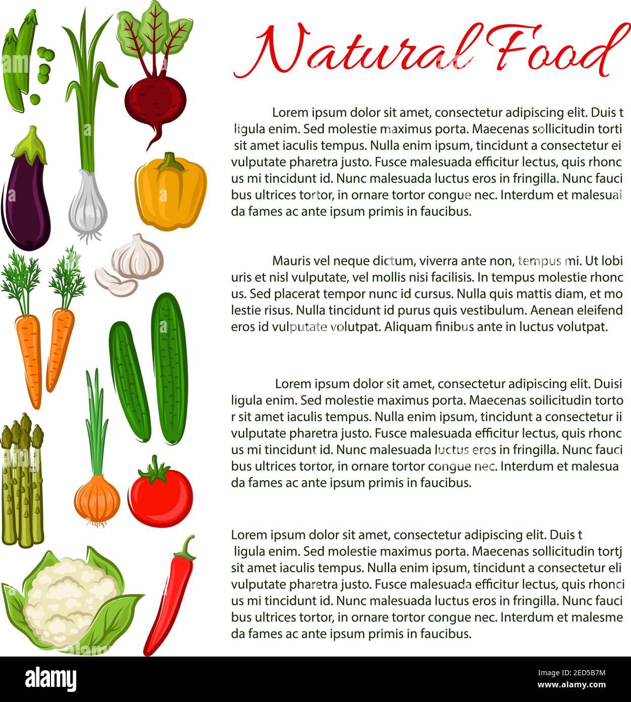 Groupe De Légumes Ais Isolé Sur Fond Blanc. Citrouille, Tomate, Maïs, Poivron, Pomme De Terre Radis Betterave Piment Poivron Aubergine Pois Aliments Biologiques Style Dessin Anime Vecteur Illustration