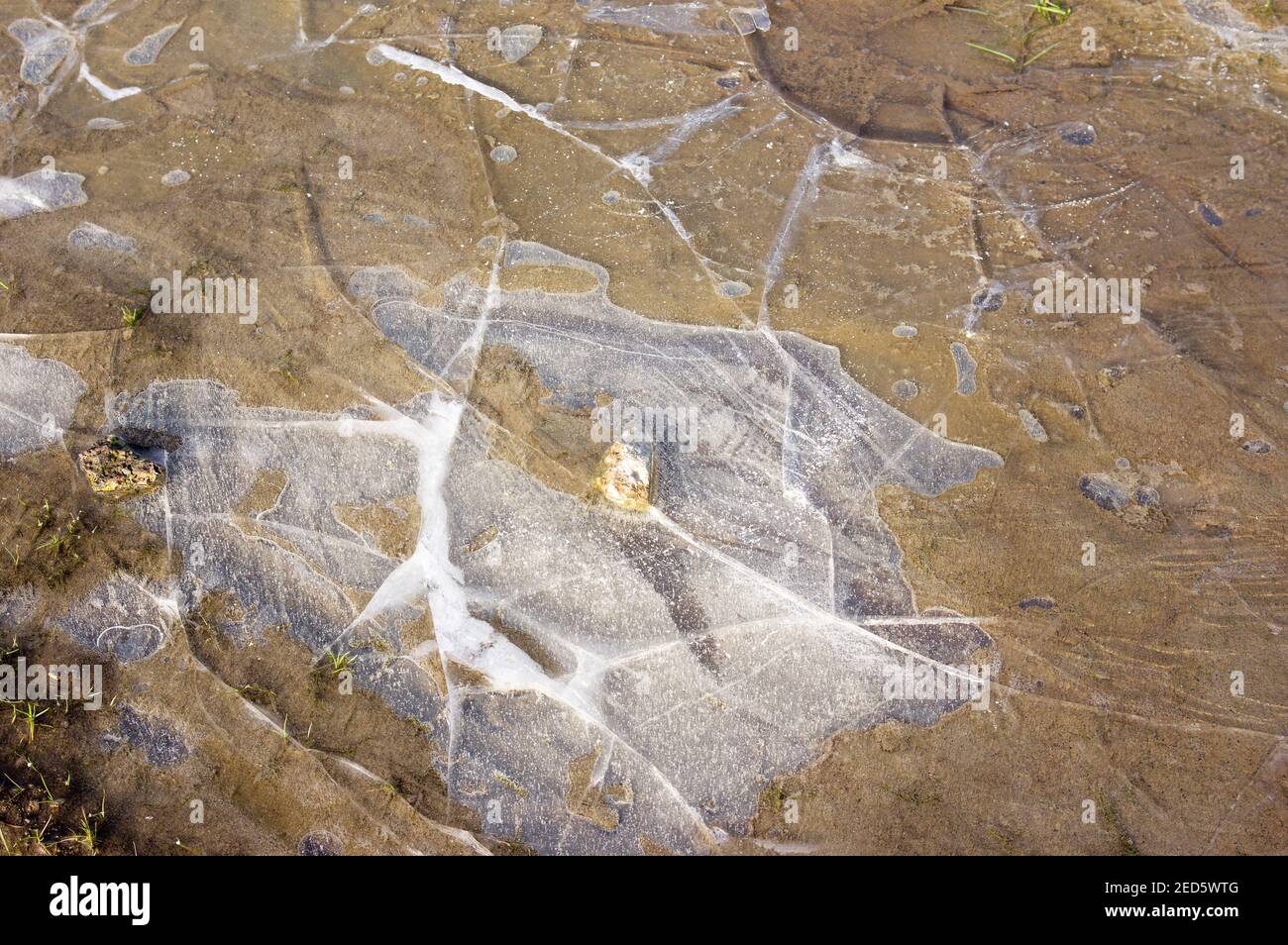 Petite piscine d'eau gelée avec fissures dans la glace avec une pierre Banque D'Images