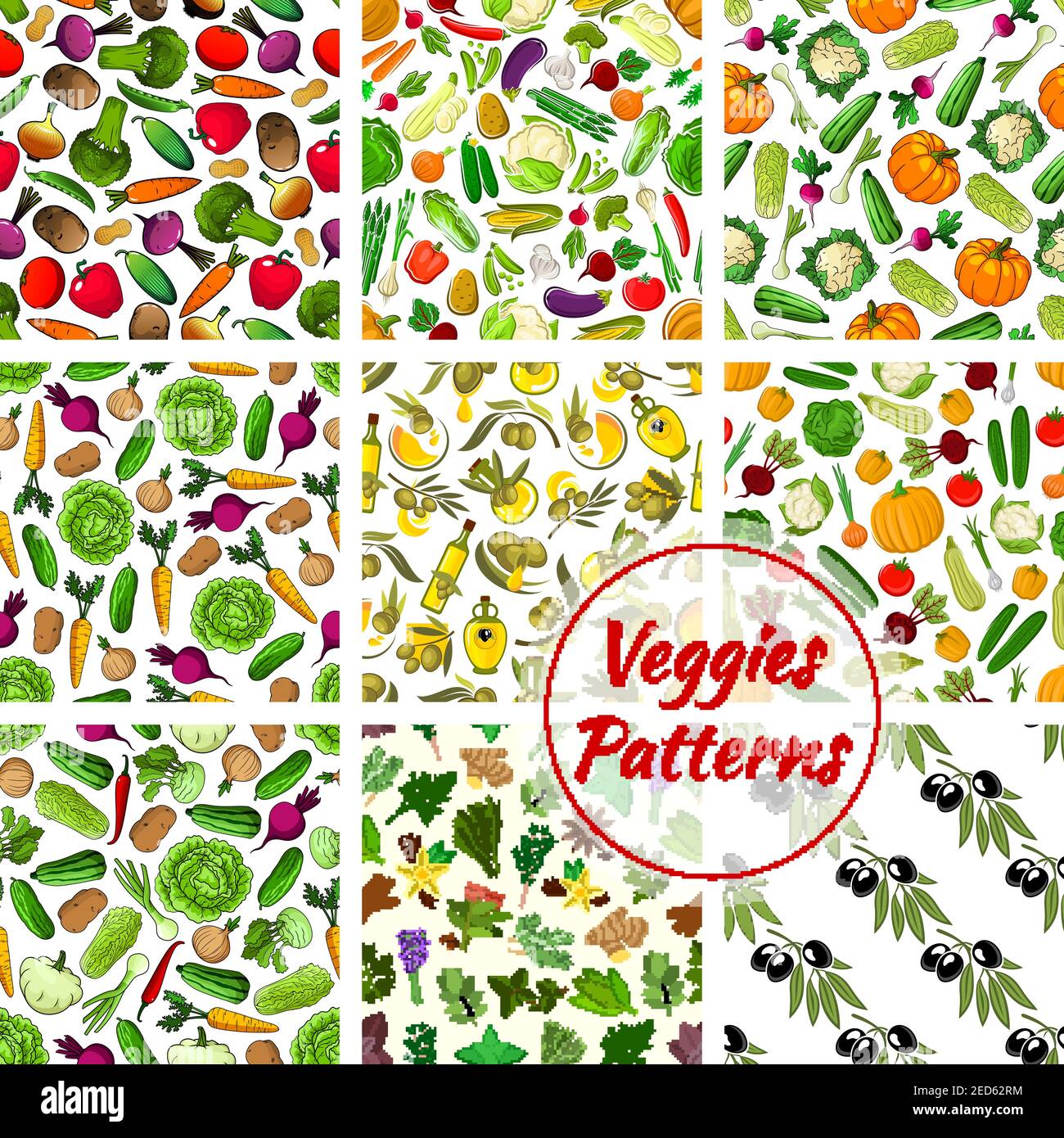 Motif de légumes, herbes épicées et épices à base de plantes. Légumes vectoriels chou-fleur, ail et pomme de terre, maïs et huile d'olive chou, citrouille, tomate et p Illustration de Vecteur