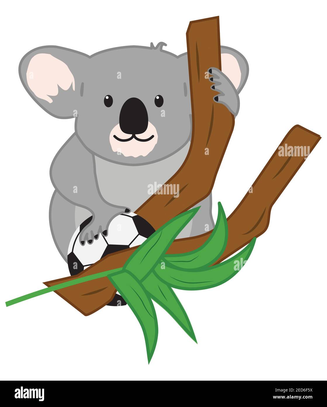 Super mignon Happy Grey Koala Bear dans l'Eucalyptus Tree avec Ballon de football noir et blanc avec masque de découpe Banque D'Images