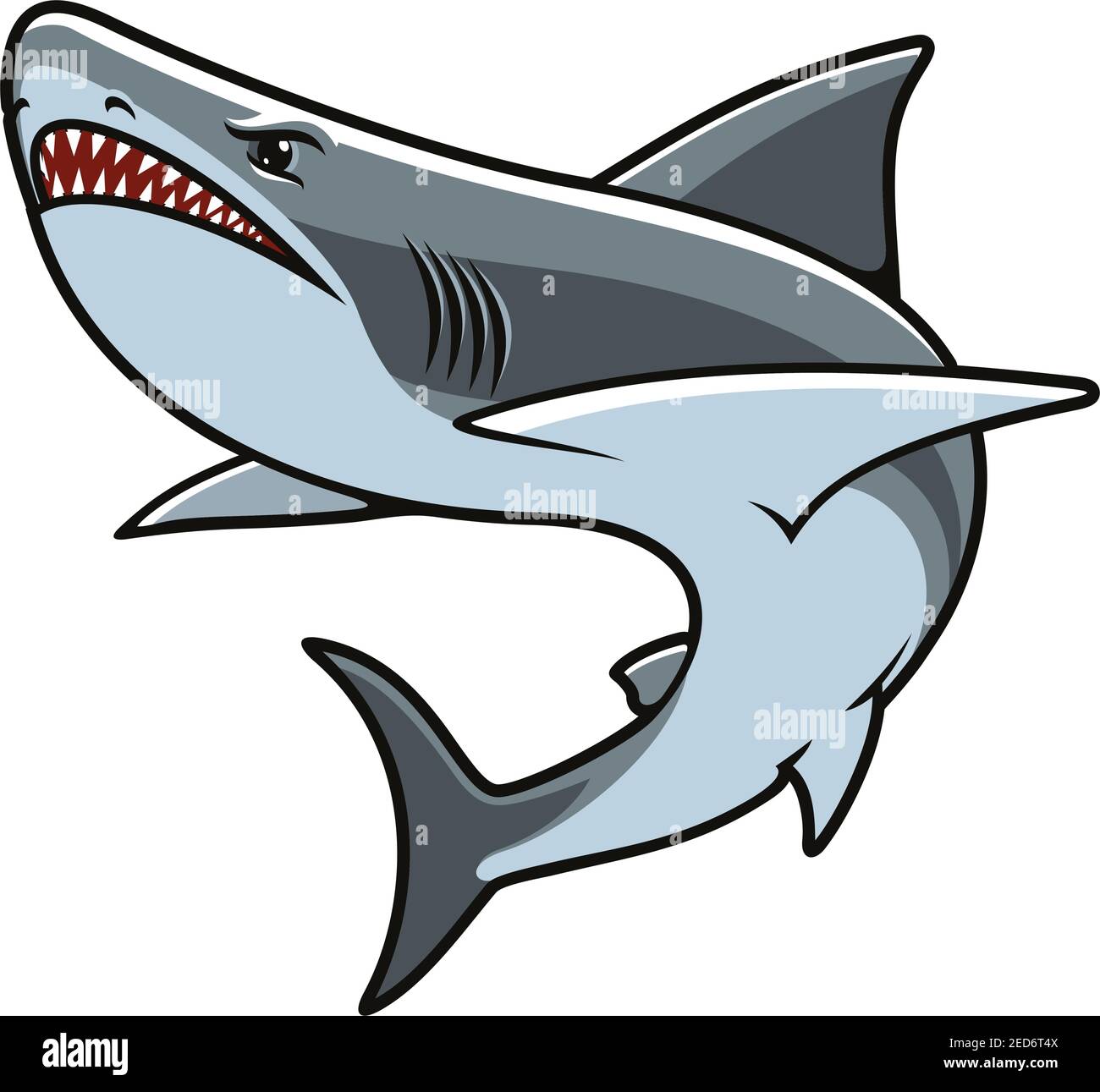 Mascotte de dessin animé de requin. Requin gris en colère avec mâchoires ouvertes montrant des dents pointues dangereuses. Animal marin pour tatouage, mascotte de sport ou imprimé t-shirt d Illustration de Vecteur