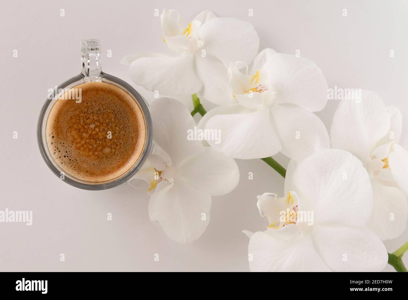 Café noir dans une tasse en verre et soucoupe blanche fleurs autour Banque D'Images