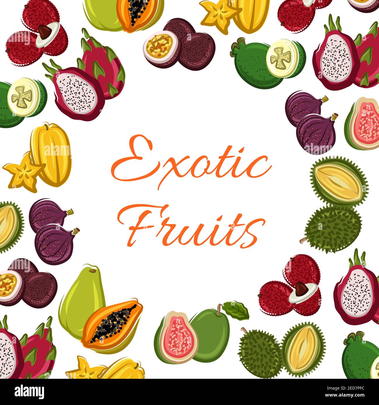 Fruits exotiques tropicaux. Affiche vectorielle avec goyave juteux et durian, fruit dragon et litchi, papaye et carambola. Récolte paysanne de longan et de figues, r Illustration de Vecteur