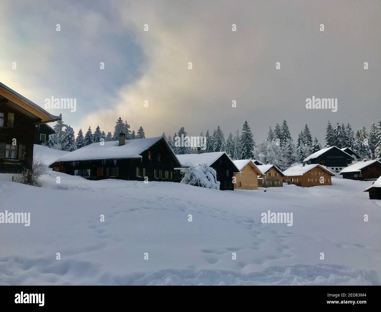 Les cabanes se trouvent sur la piste de ski fraîchement enneigée. village de vacances avec maisons en bois alpin en face d'une forêt de sapins enneigés. Bödele Banque D'Images