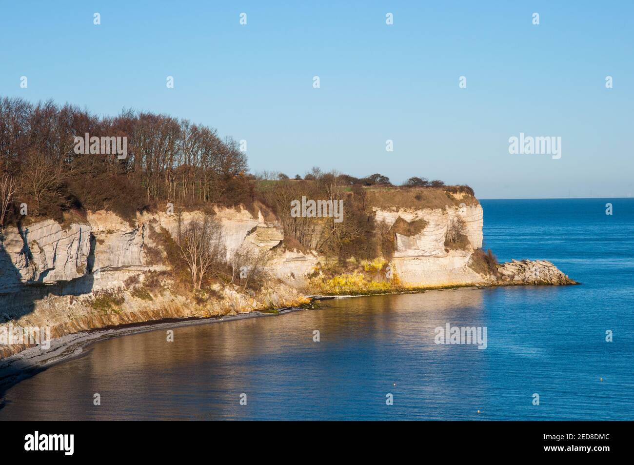 Stevns Klint Cliff au Danemark, un jour d'hiver Banque D'Images
