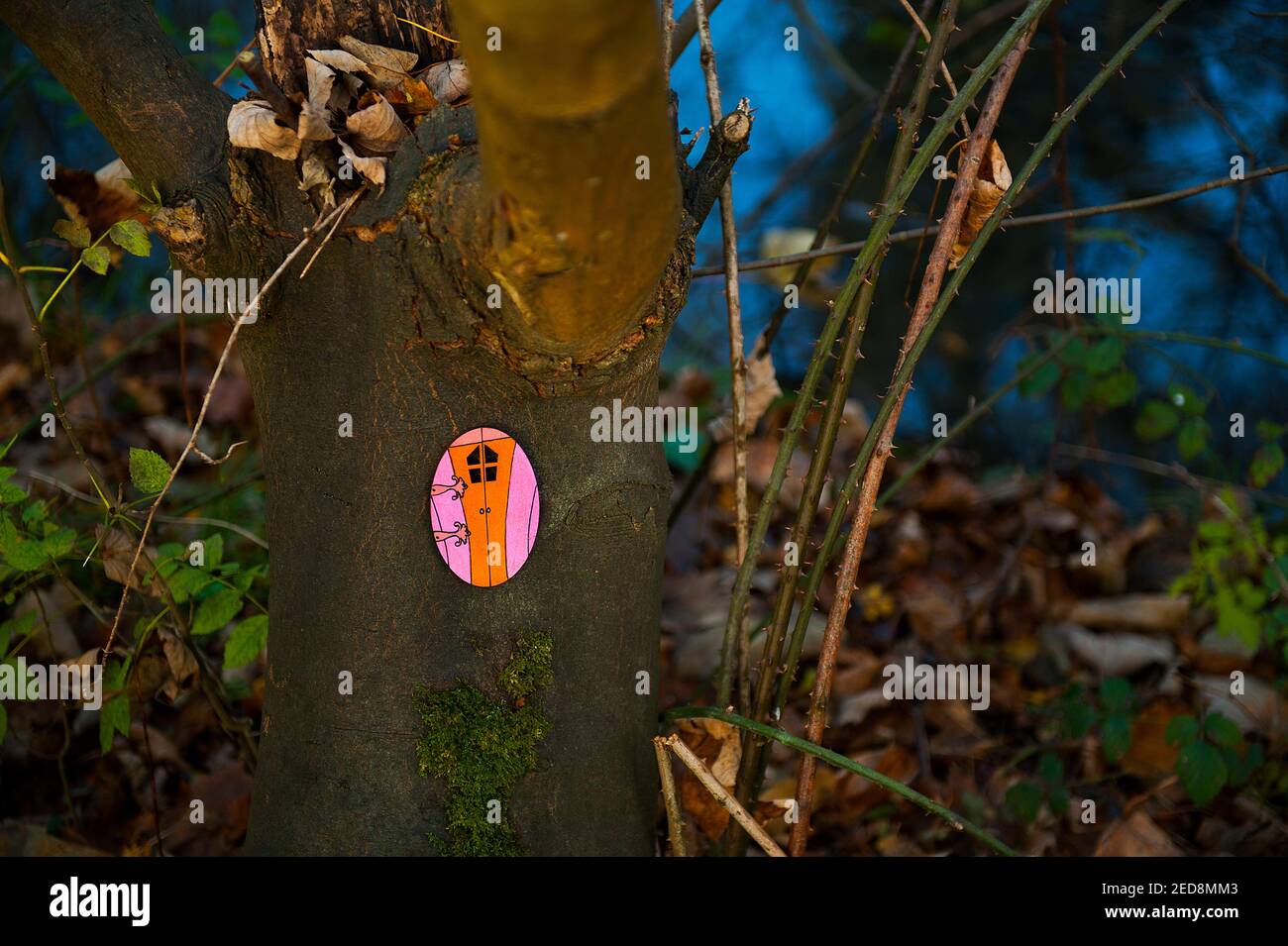 Petite porte comique dans l'arbre Banque D'Images