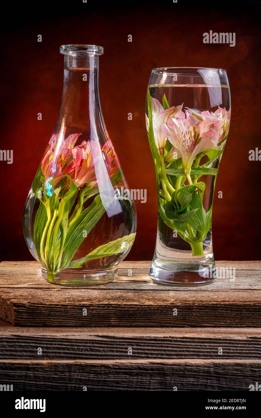 Couper les fleurs et les lys roses dans un vase rempli de l'eau sur une table en bois de grange marron en face de un arrière-plan de toile sombre Banque D'Images