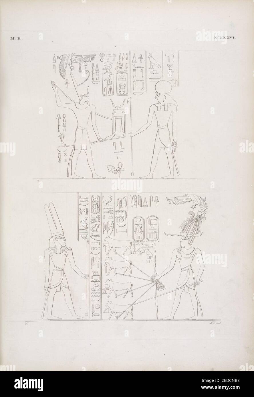Il medesimo re consacra a Phrê (Ra) una porta. - Amenôf II (Amenhotep II) reca in offerta quattro vitelli ad Amon-rê (Amon) Banque D'Images