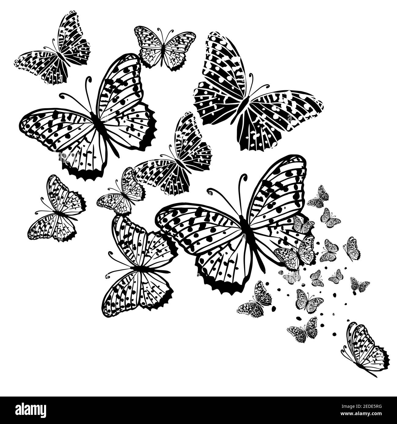 Tatouage décoratif papillon. Papillon noir des motifs. Illustration vectorielle Illustration de Vecteur