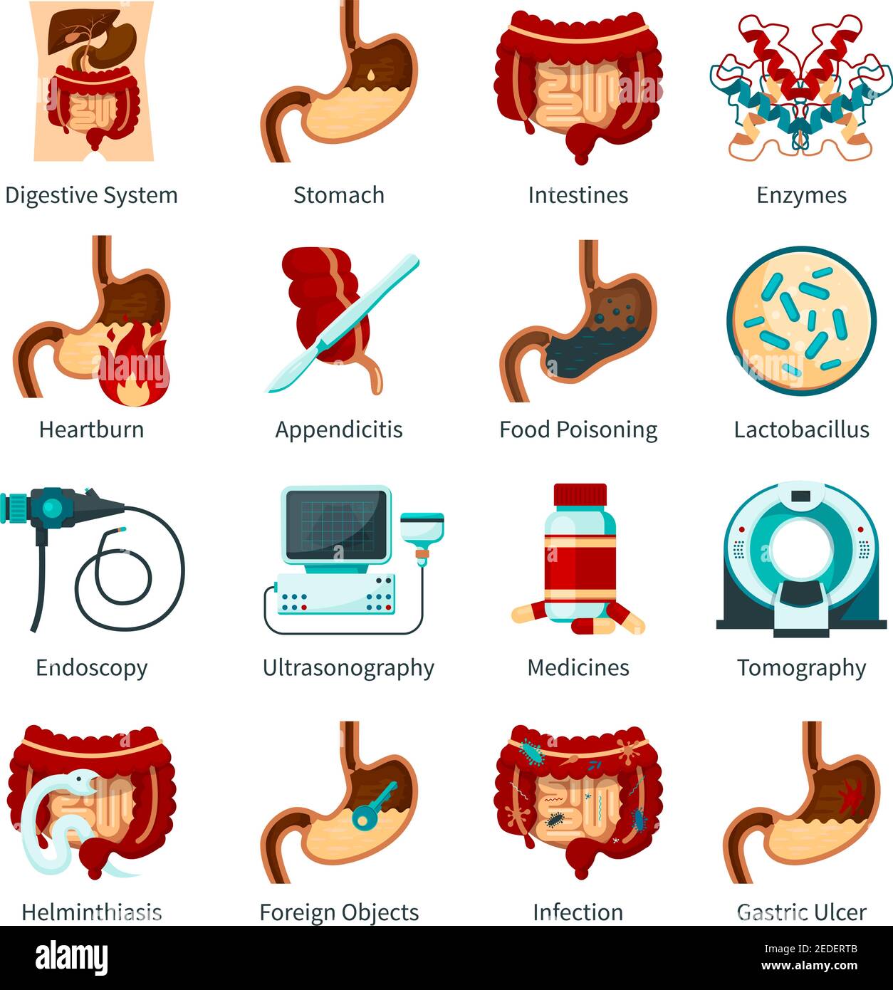 Système digestif coloré et isolé icône plate ensemble avec estomac enzymes heartburn intoxication alimentaire et autres descriptions illustration vectorielle Illustration de Vecteur