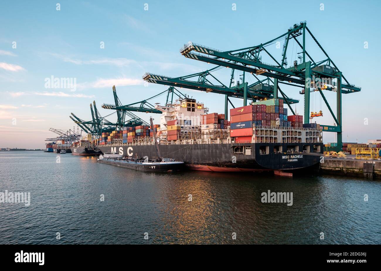 Les conteneurs sont déchargés du MSC Rachele dans le port d'Anvers Banque D'Images