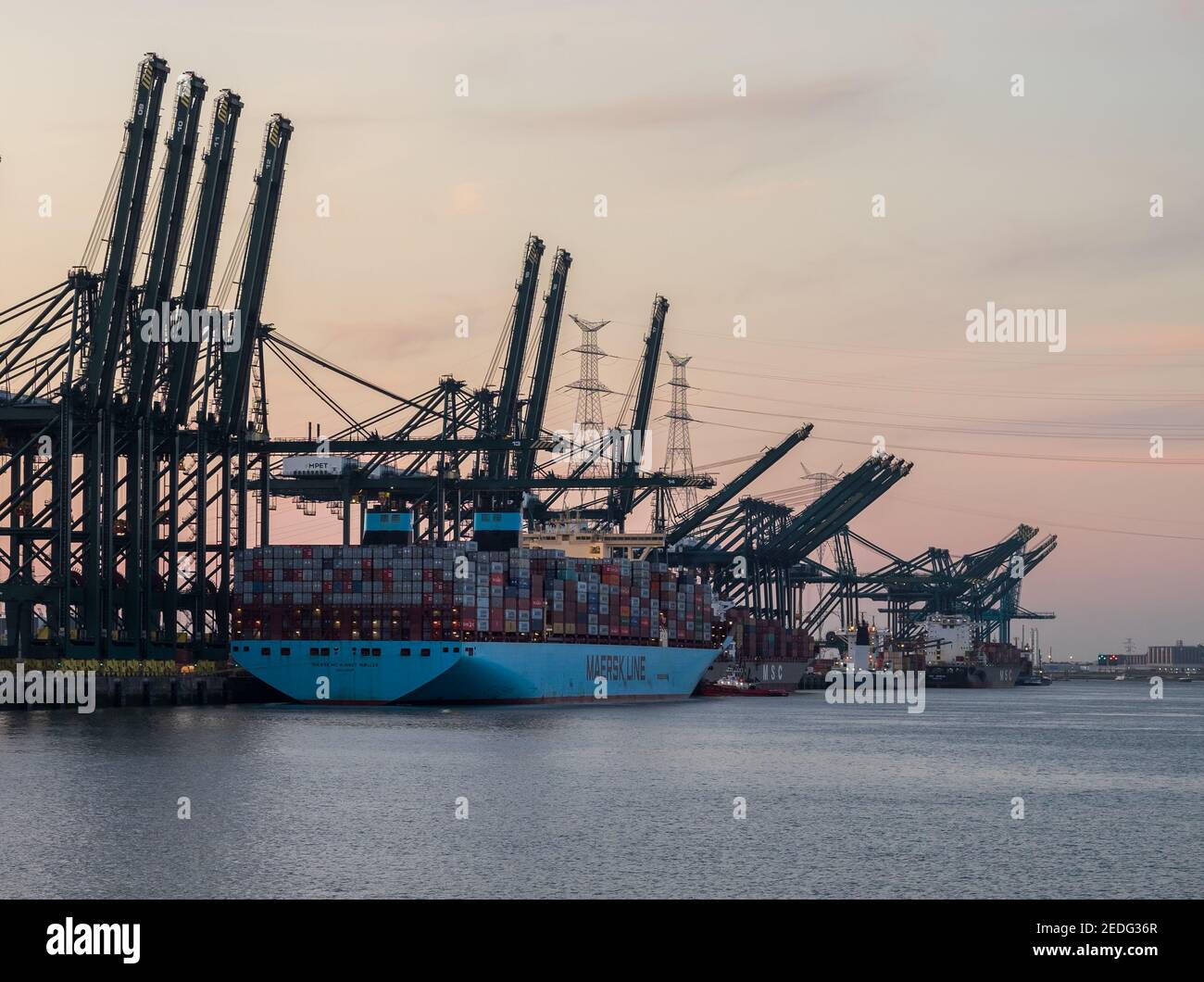 Grues et navires à conteneurs dans le port d'Anvers Banque D'Images